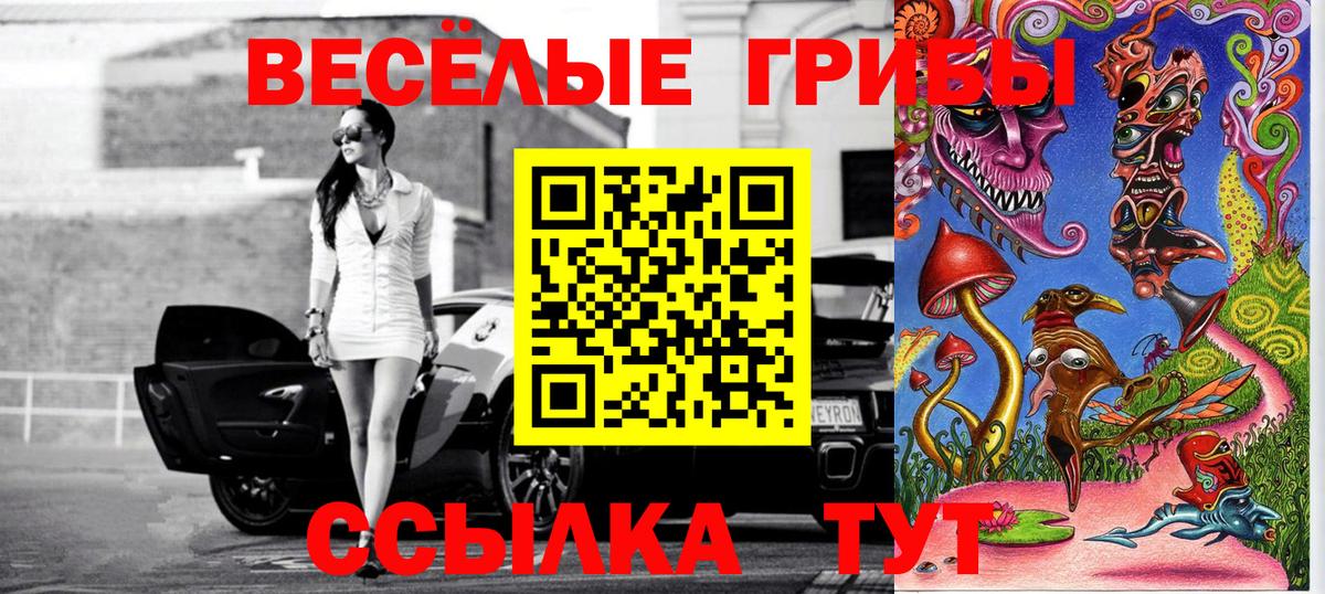 Псилоцибиновые грибы мухоморы  Вход с VPN  Лесной 
