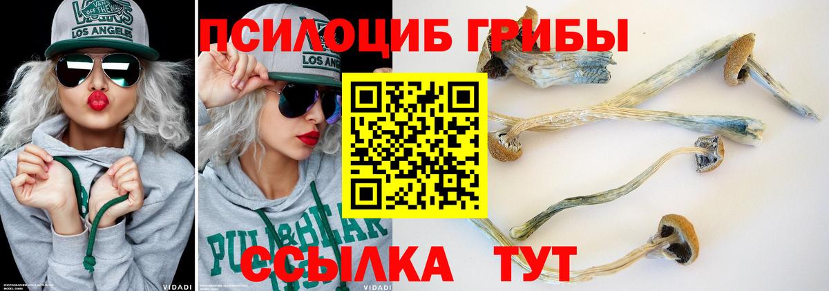 Псилоцибиновые грибы мицелий Лесной